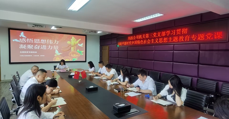 7.28川西公司機(jī)關(guān)第三黨支部組織開展主題 教育專題黨課暨集體廉政談話.jpg